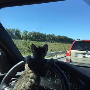 Hey, y’all. Happy Poshing!